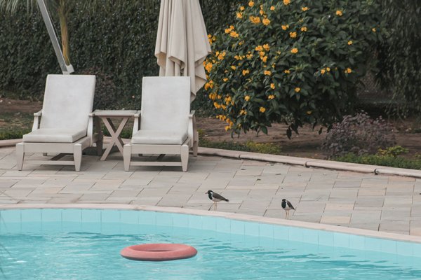 How can you integrate a pool with a natural pond in a UK garden?